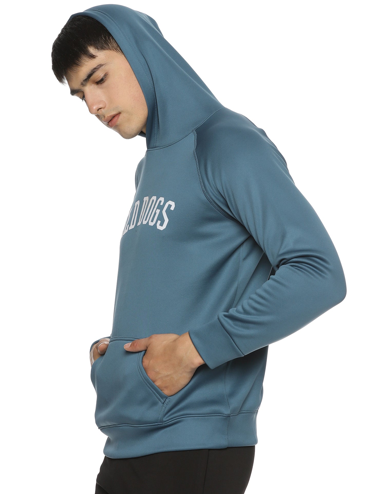 Wild Dogs Men's Sea Blue Hoodie